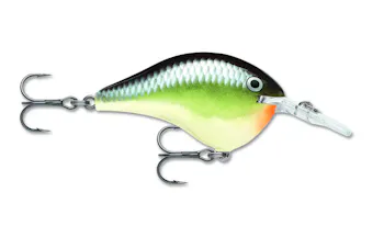 Rapala Dives To 6 (DT6)