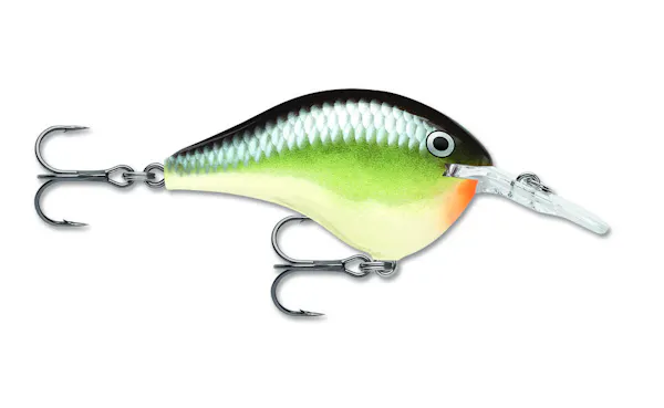 Rapala Dives To 6 (DT6)