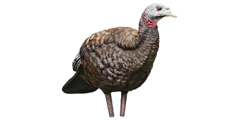 Avian X Breeder Turkey Decoy