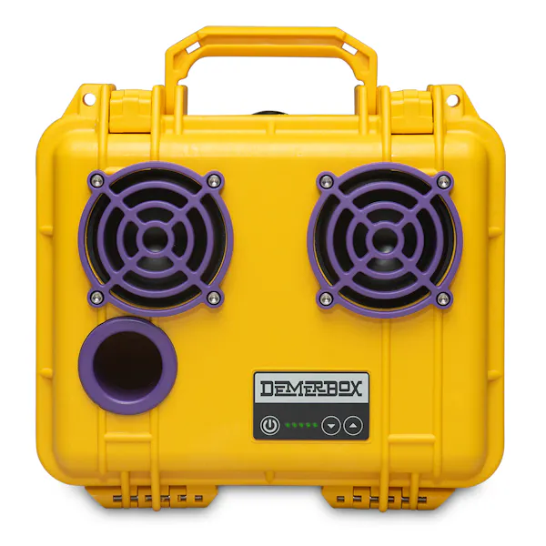 DemerBox Game Day Yellow & Purple DB2 Speaker