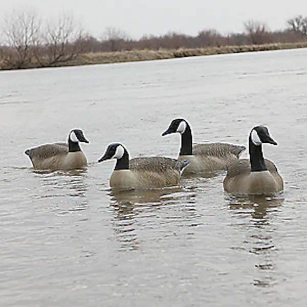 Cabela's Northern Flight RealImage Canada Goose Floaters Four-Pack